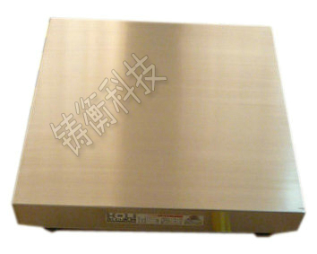 電子地磅秤